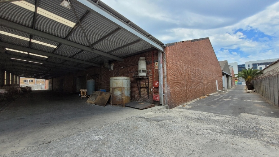 To Let commercial Property for Rent in Epping Industrial Western Cape